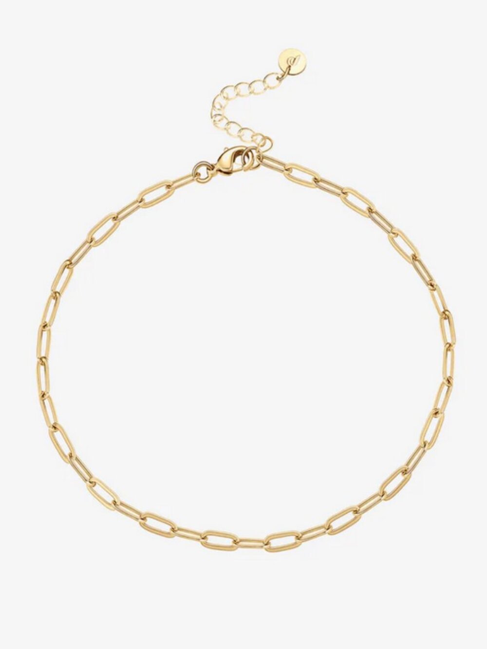 Paperclip Anklet